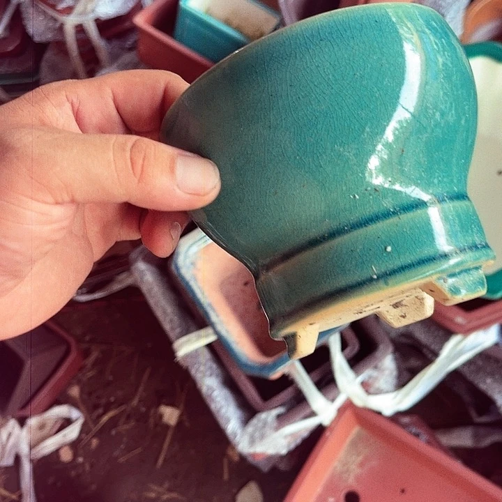 紫砂20CM（含）-50CM（不含）