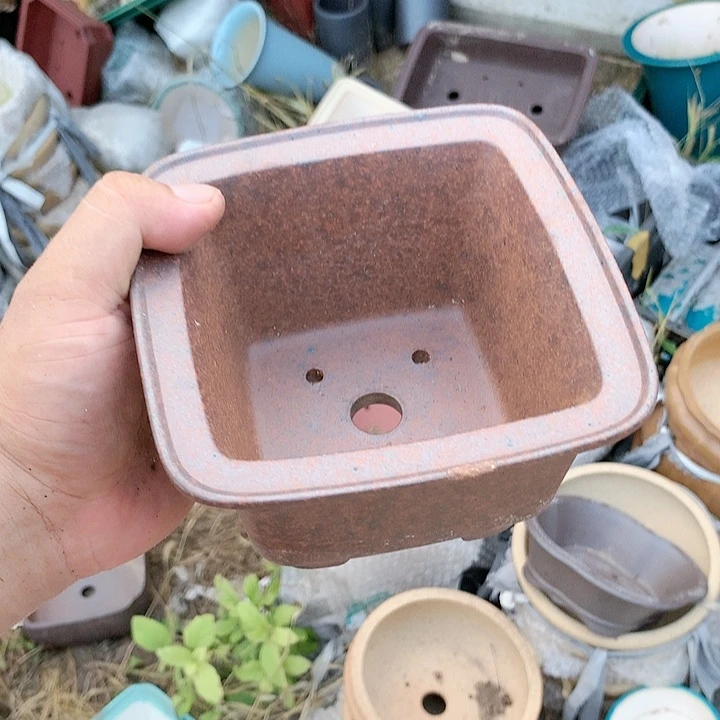 紫砂20CM（含）-50CM（不含）