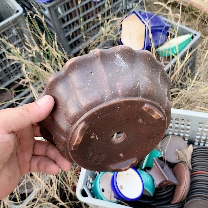 紫砂20CM（含）-50CM（不含）