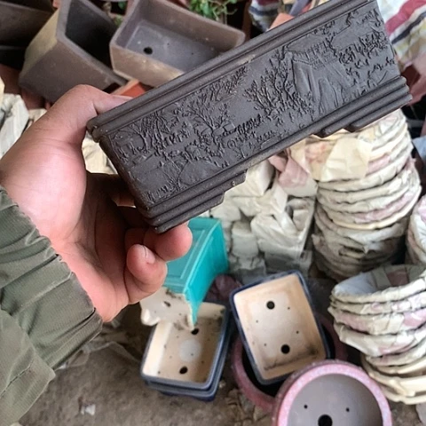 紫砂还叫姐姐斤斤计较