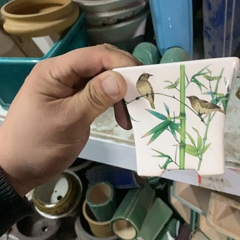 紫砂20CM（含）-50CM（不含）
