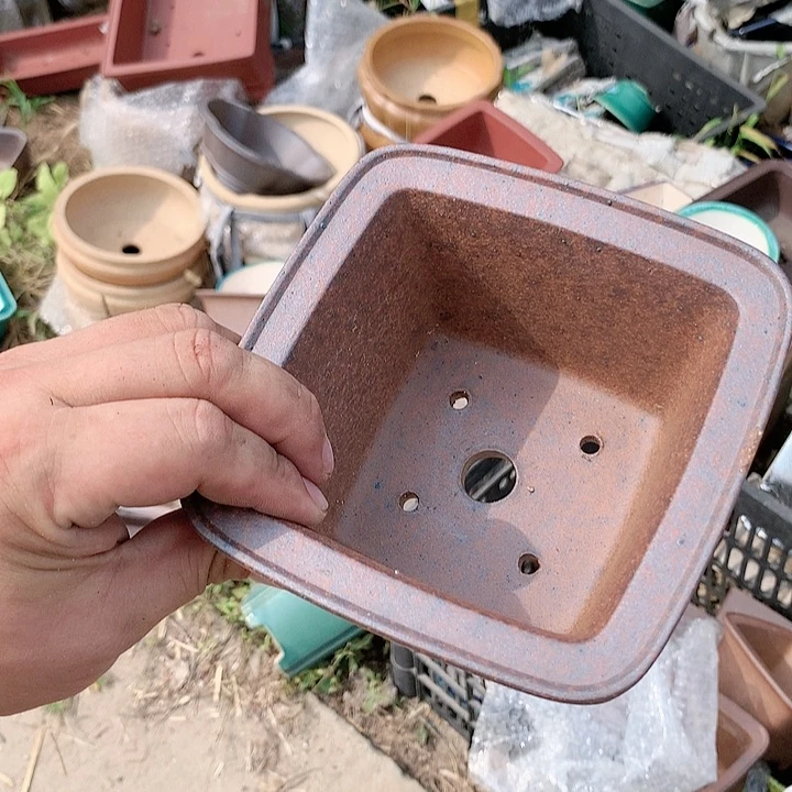 紫砂20CM（含）-50CM（不含）