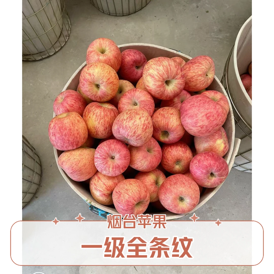 【全条纹】正宗栖霞红富士苹果 产地直发脆爽多汁包邮特级