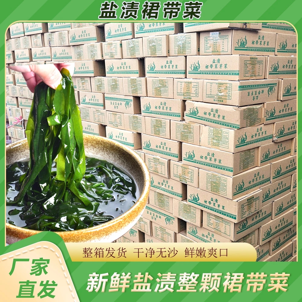 裙带菜5斤整箱海带丝海带苗儿童嫩非特芽新鲜盐渍白菜非干货商用
