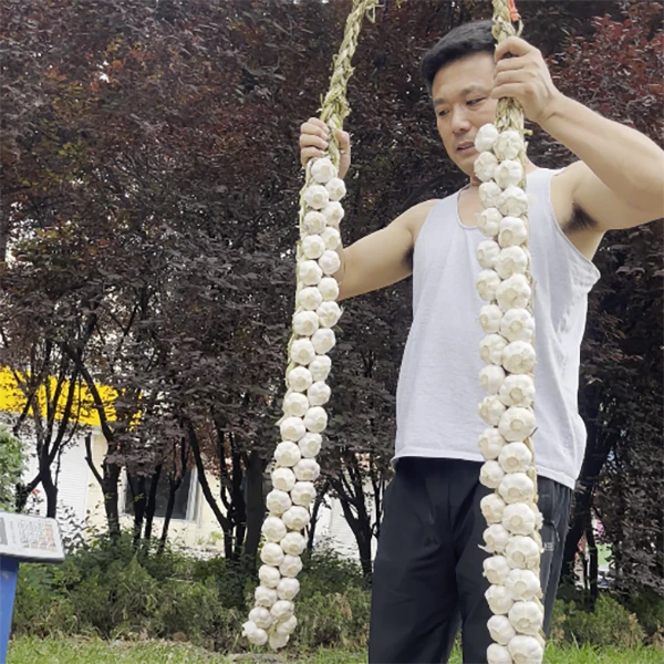 辫子蒜四六瓣干蒜挂蒜