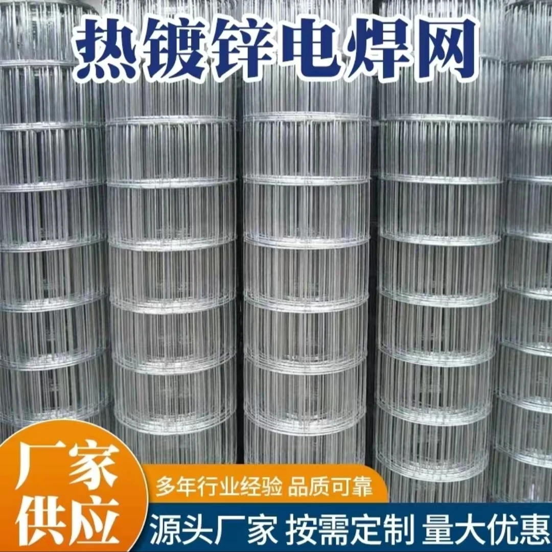 热镀锌电焊网养殖网钢丝防护栏镀锌铁丝网电焊网片家用宠物防鼠网