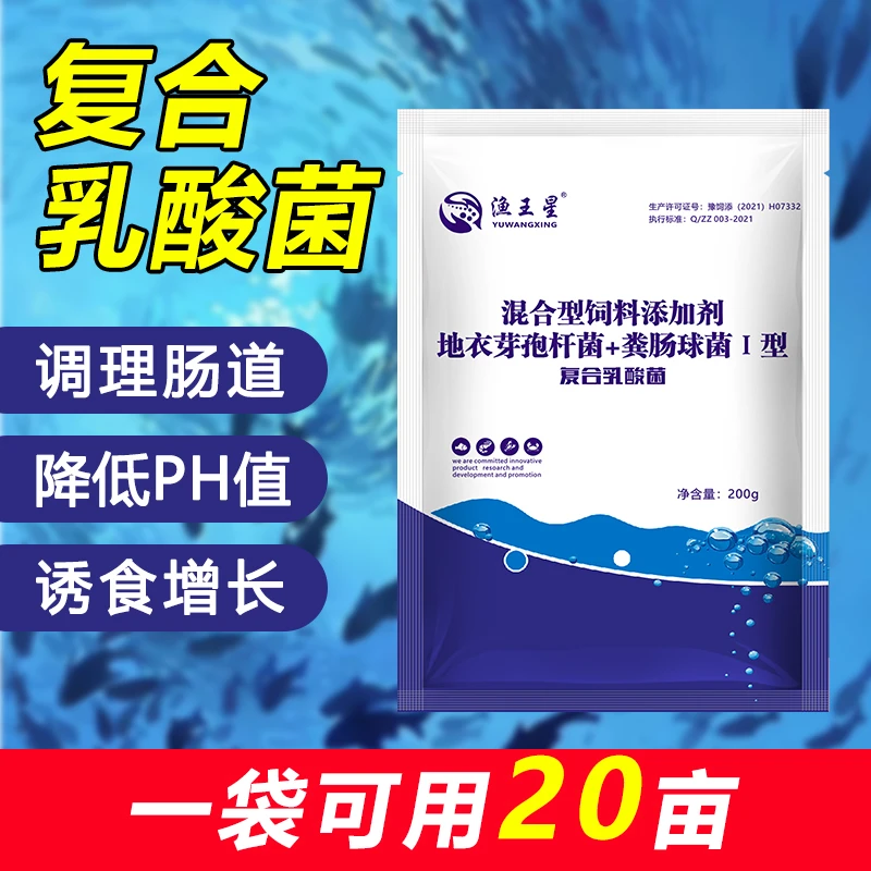 【复合乳酸菌】渔王星    水产养殖产品养殖常备品