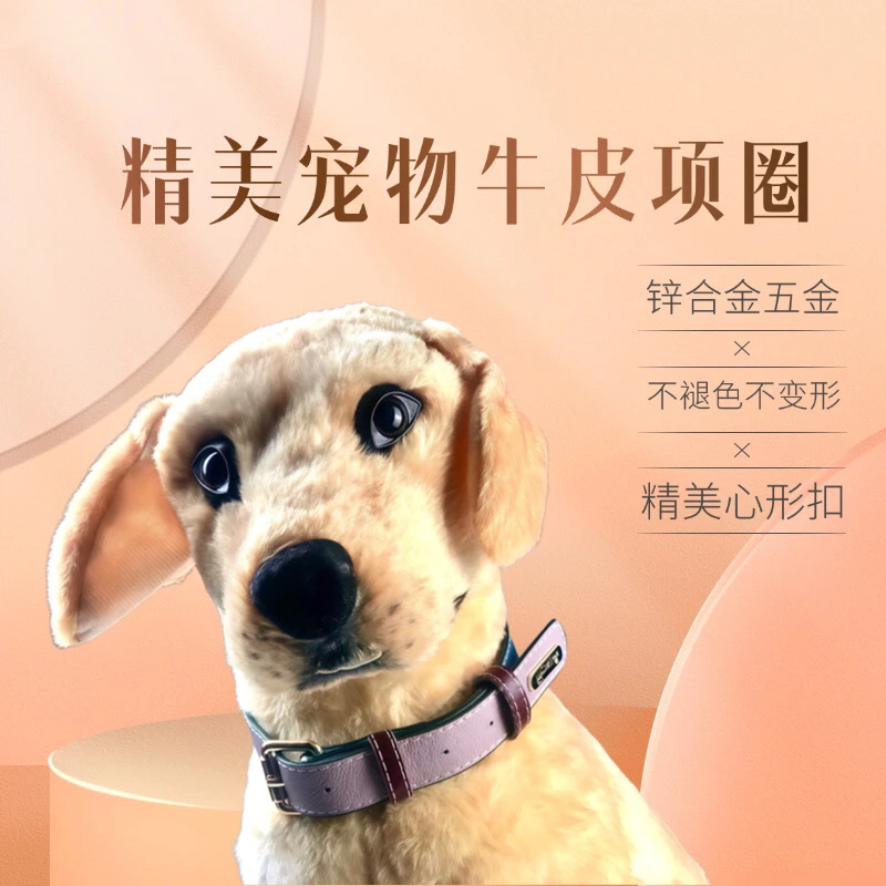 牛皮项圈结实养狗必备品狗狗牵引绳狗绳脖套宠物用品高颜值项圈
