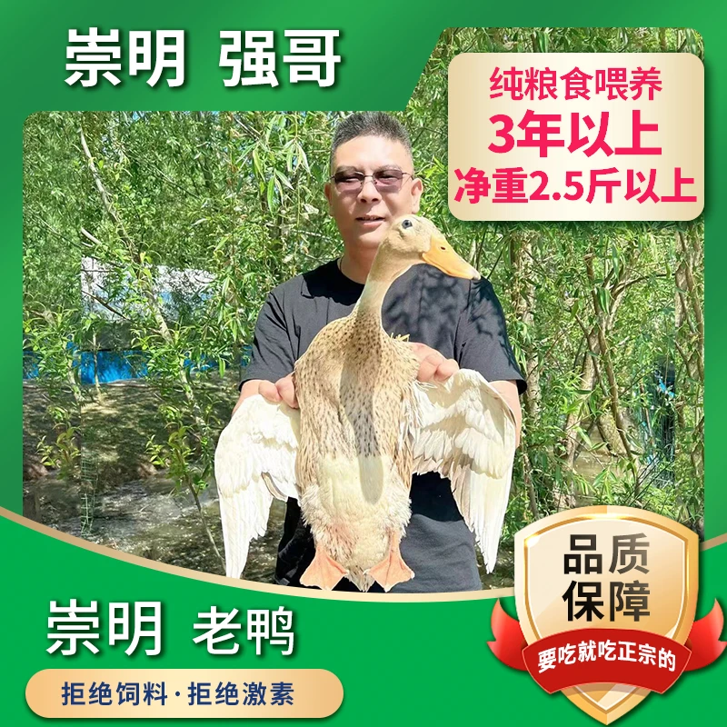 崇明散养土鸭 老鸭子 3年以上老鸭手工拔毛锁鲜精选顺丰包邮