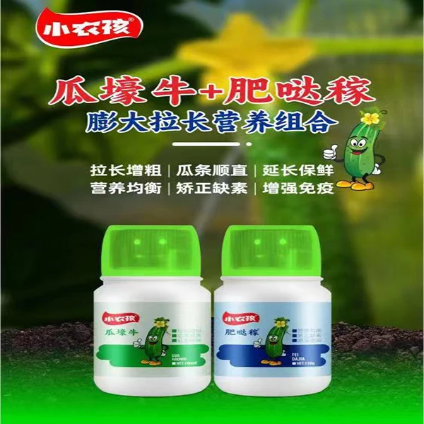瓜壕牛黄瓜辣椒豆角膨大顺直拉长高产抗病专用叶面肥顶花增瓜防畸