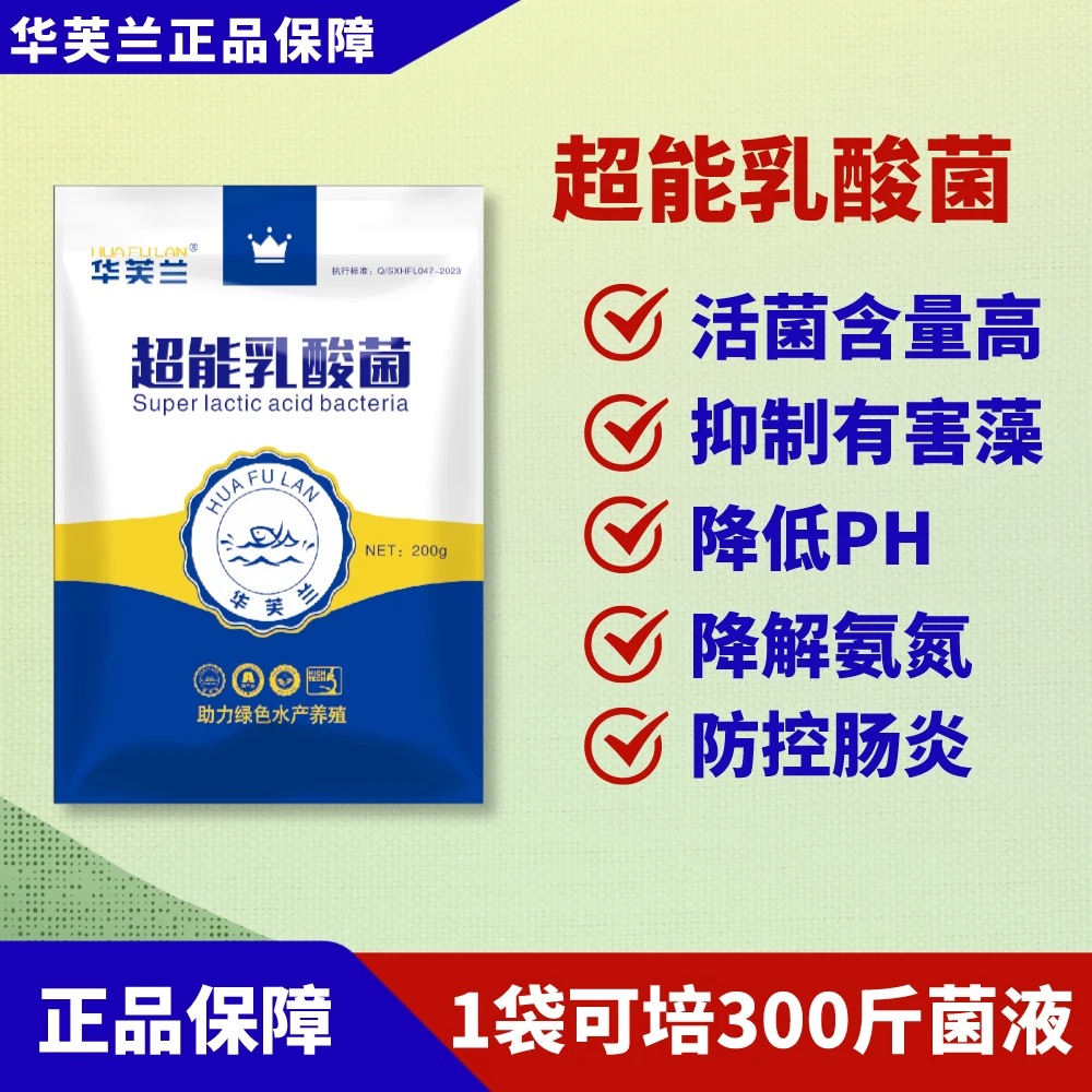 HUAFULAN/华芙兰正品超能乳酸菌，1袋扩培300斤菌液，净水稳水。