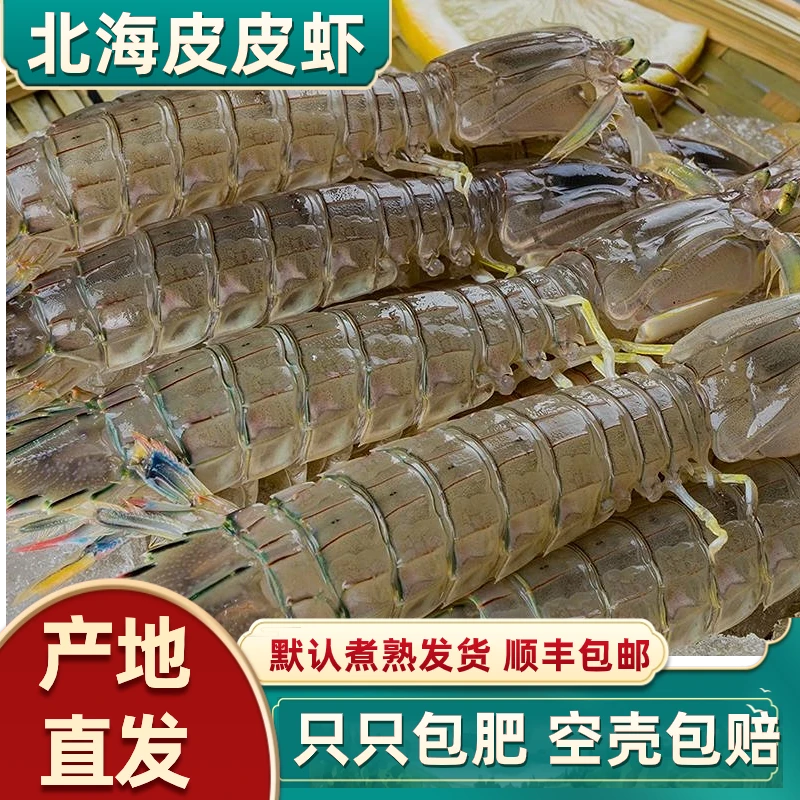 北海皮皮虾鲜活蒸熟冷冻海鲜水产海虾新鲜虾琵琶虾爬子特大濑尿虾