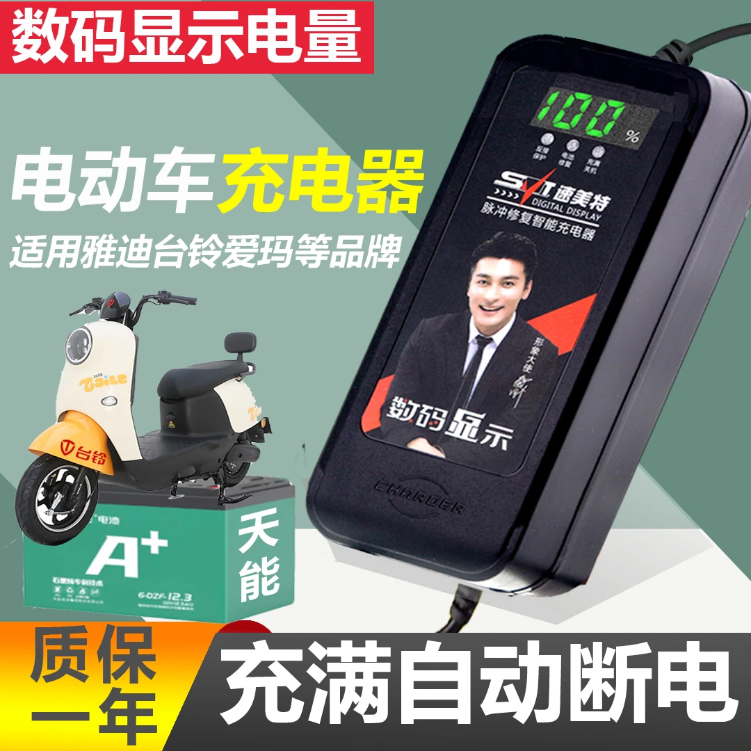 电动车电瓶充电器48V12AH60V20AH72V12V雅迪绿源爱玛石墨烯通用