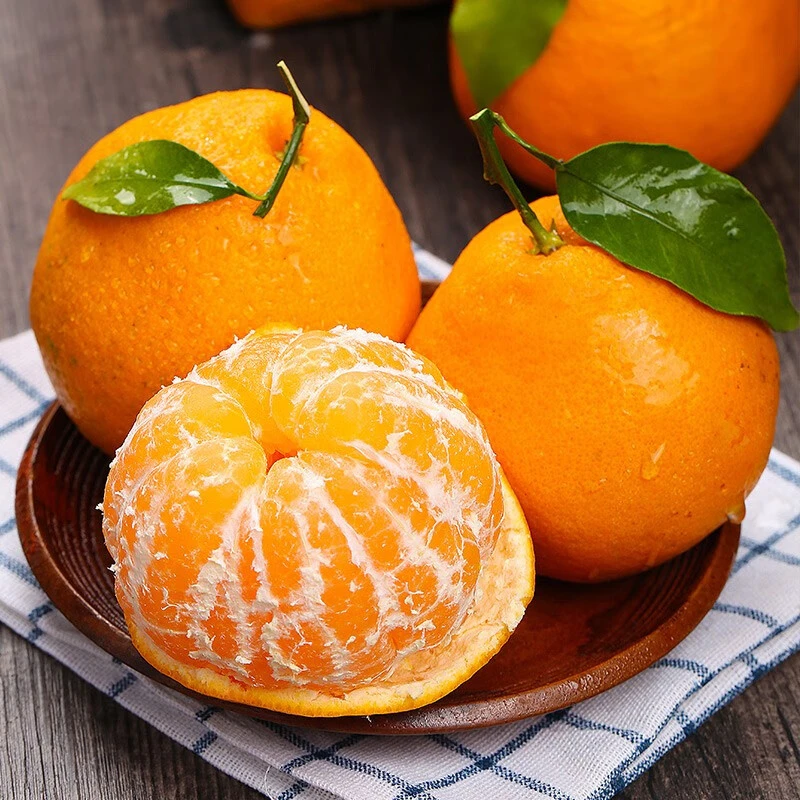 【精品新鲜甜 】春见耙耙柑丑八怪橘子水果当季柑丑橘新鲜成熟采摘