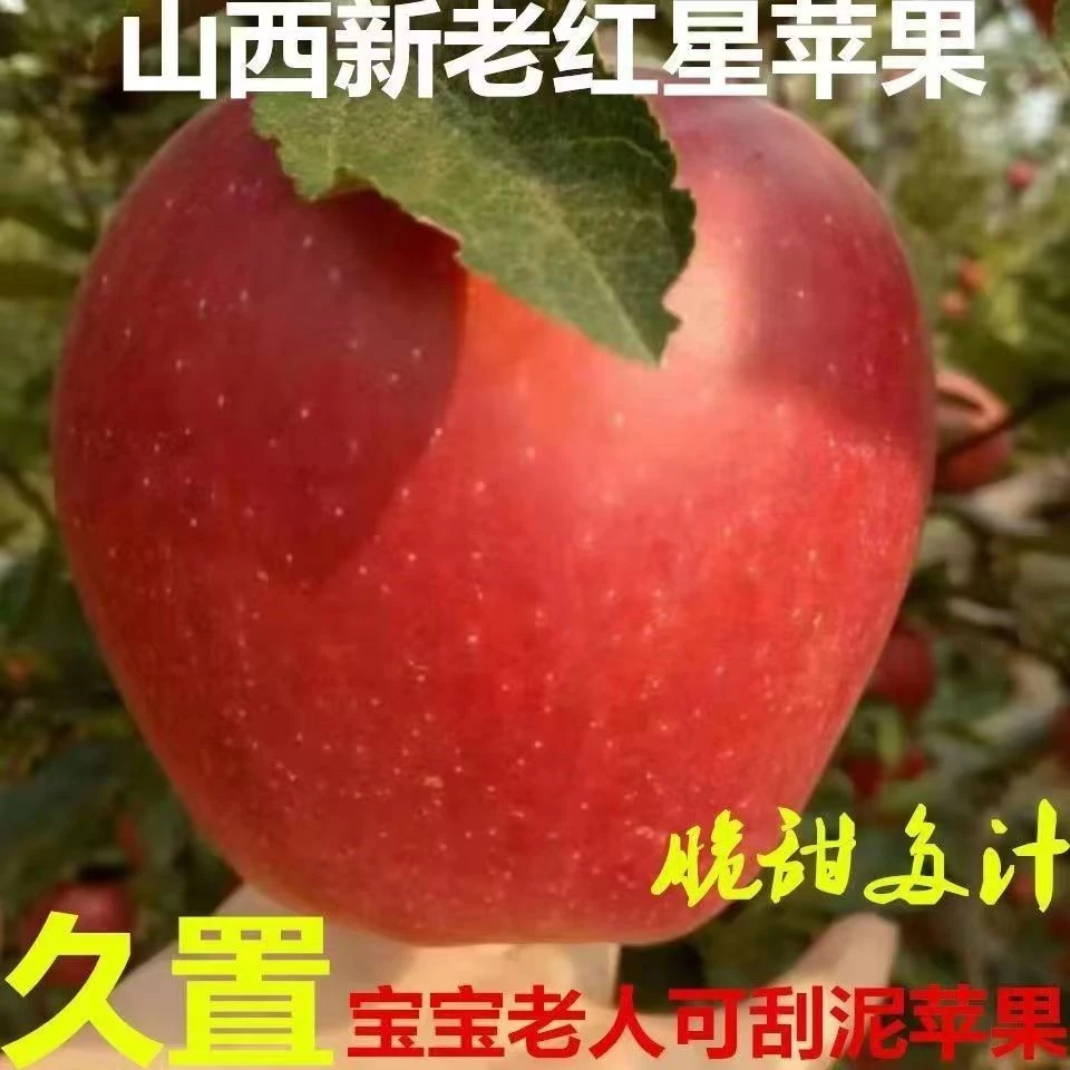 新鲜粉面沙甜红星香甜2/3/10斤红香蕉平安果宝宝刮泥孕妇水果整箱