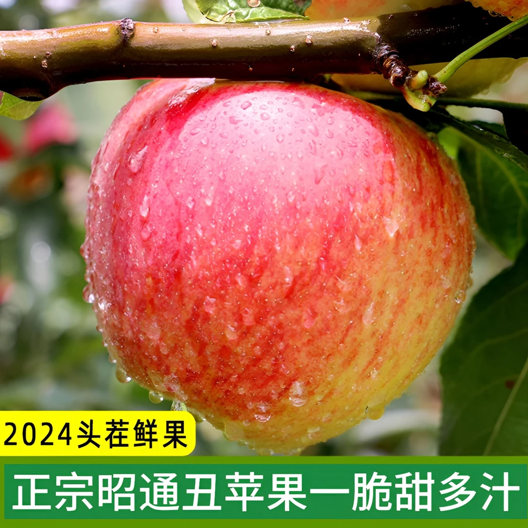 昭通自然成熟红富士糖心丑苹果2001新鲜现摘好吃自然霜降