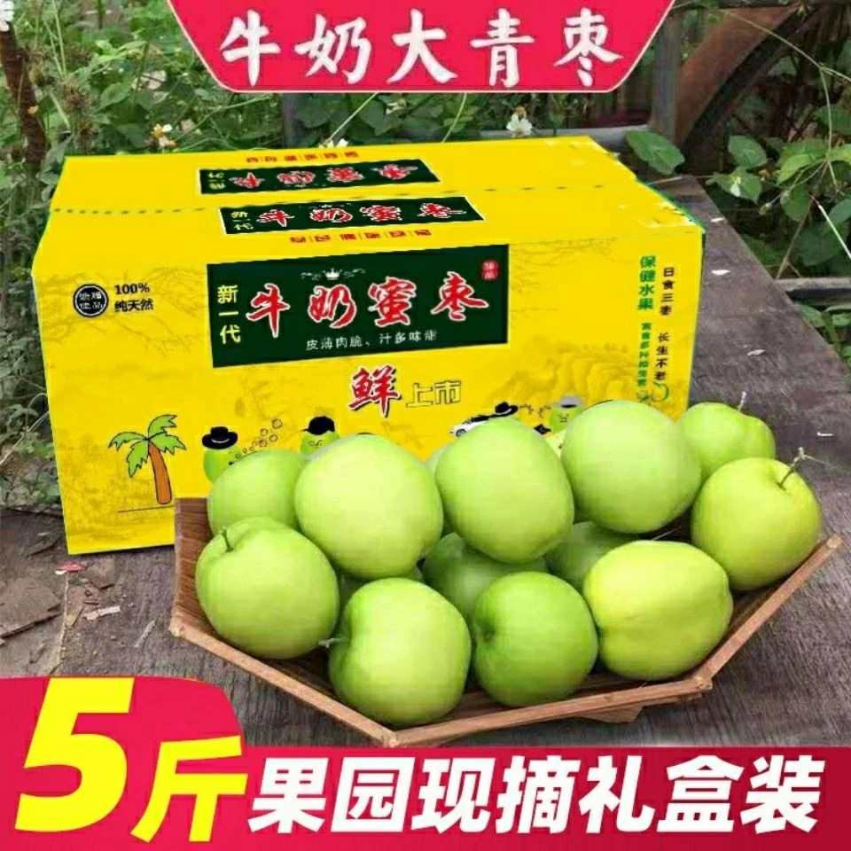 福建牛奶大青枣贵妃蜜枣脆甜枣子贵妃牛奶枣现摘应季新鲜水果5斤