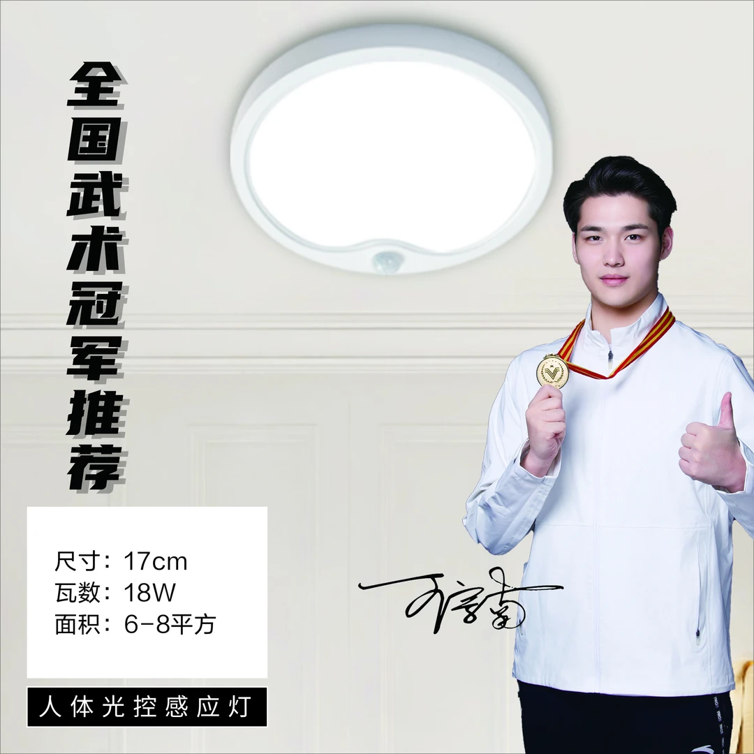 TALOYA现代简约苹果造型17cm入户楼道阳台人体感应灯超亮走廊灯具