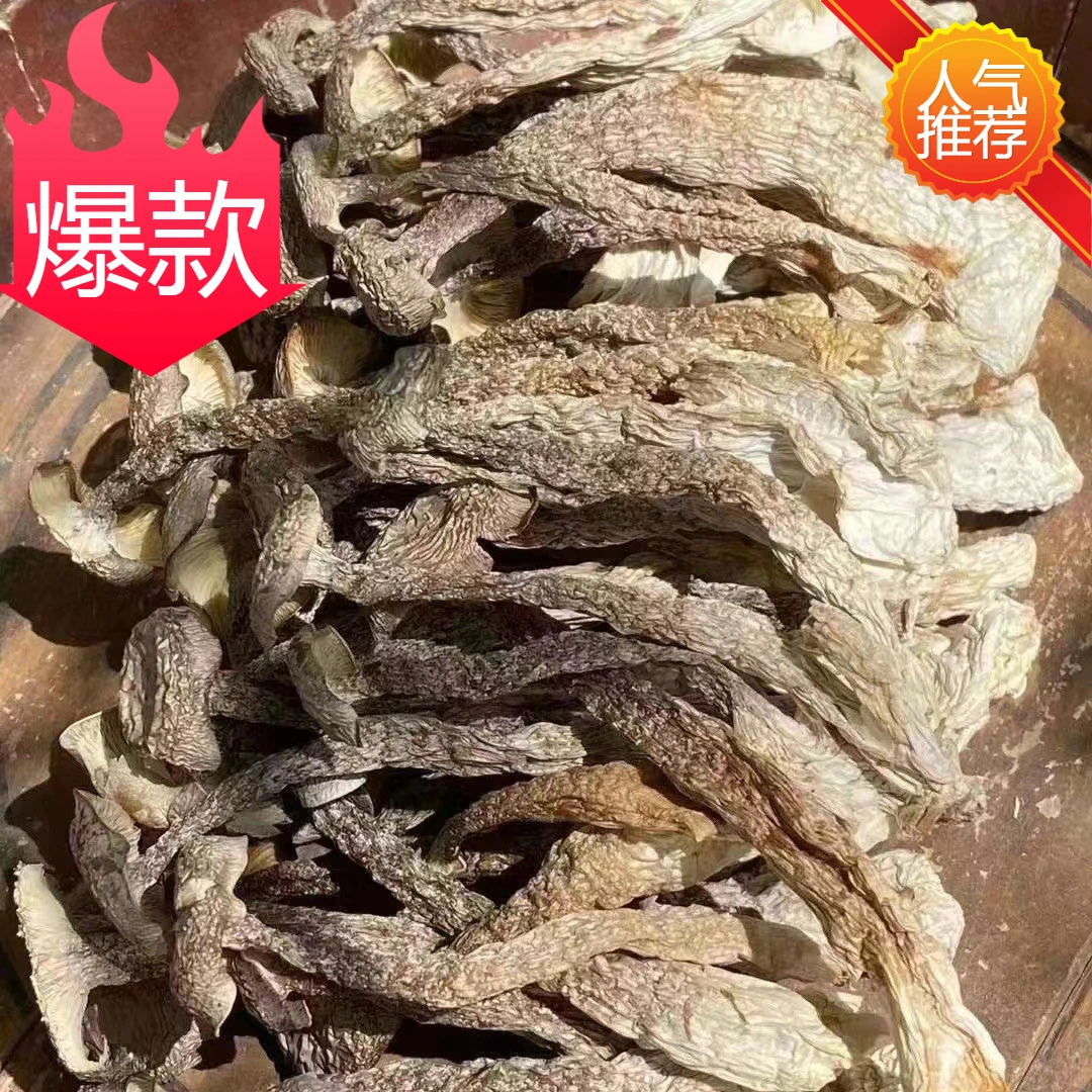 广东汕头鹿茸菇500克包邮