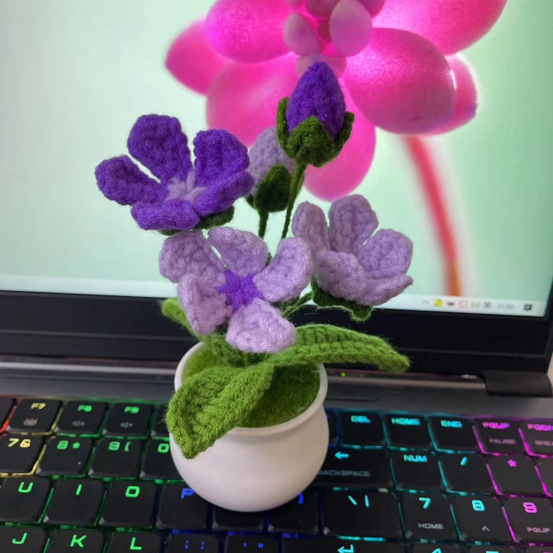 点地梅成品毛线花盆栽 仿真花教师节礼物