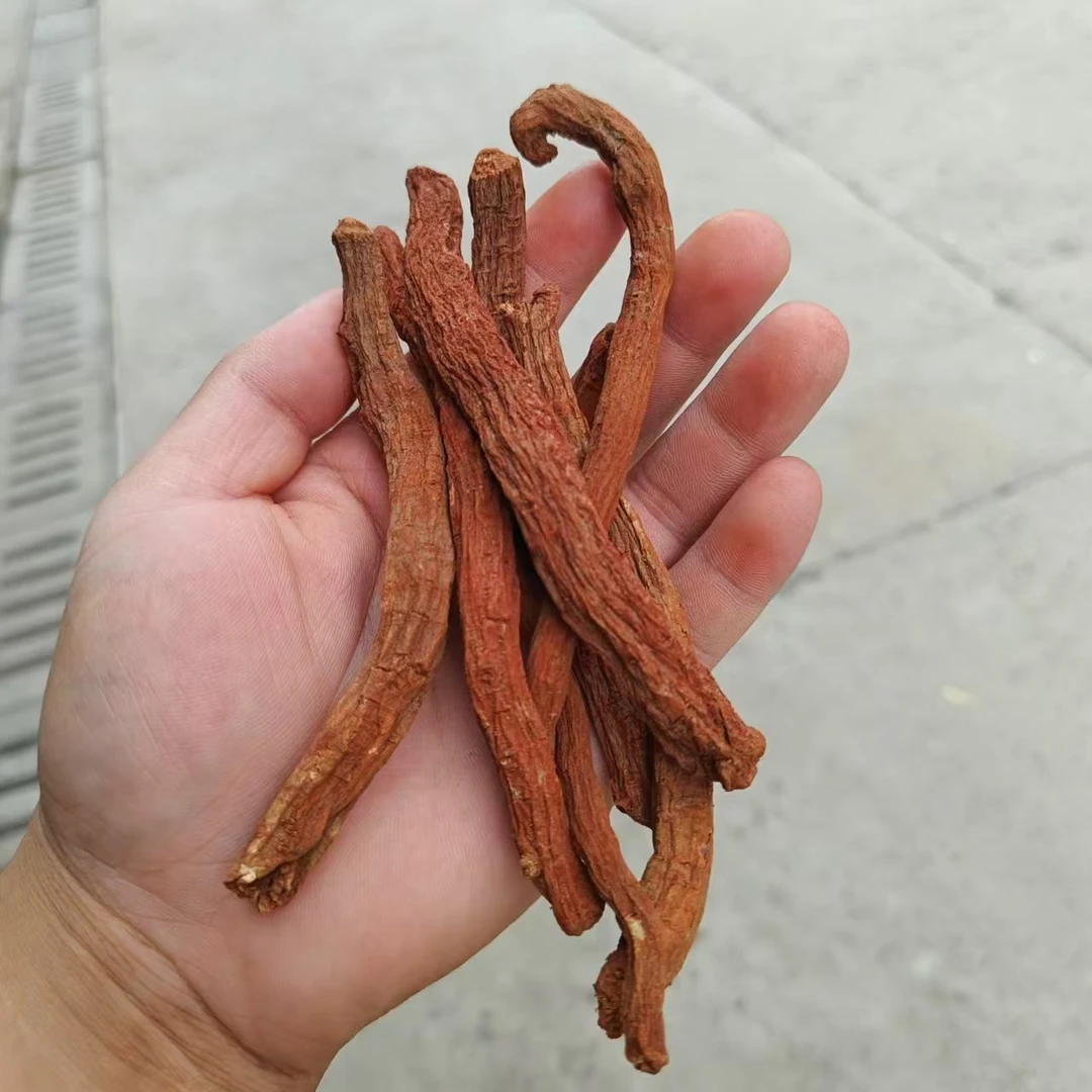 秦岭现收干货丹参