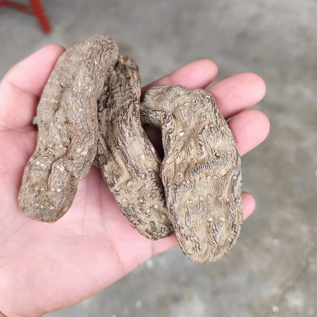 秦岭现收山货乌天麻