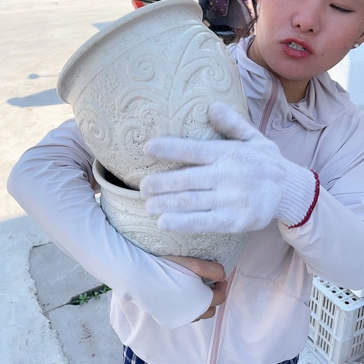 红陶20CM（含）-50CM（不含）口2119