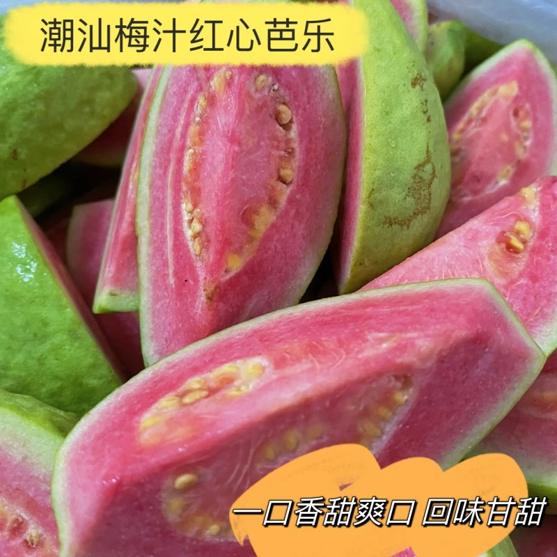 梅汁拖青芒芭乐食用优质热带水果孕妇腌制原生态新鲜即食香甜产地