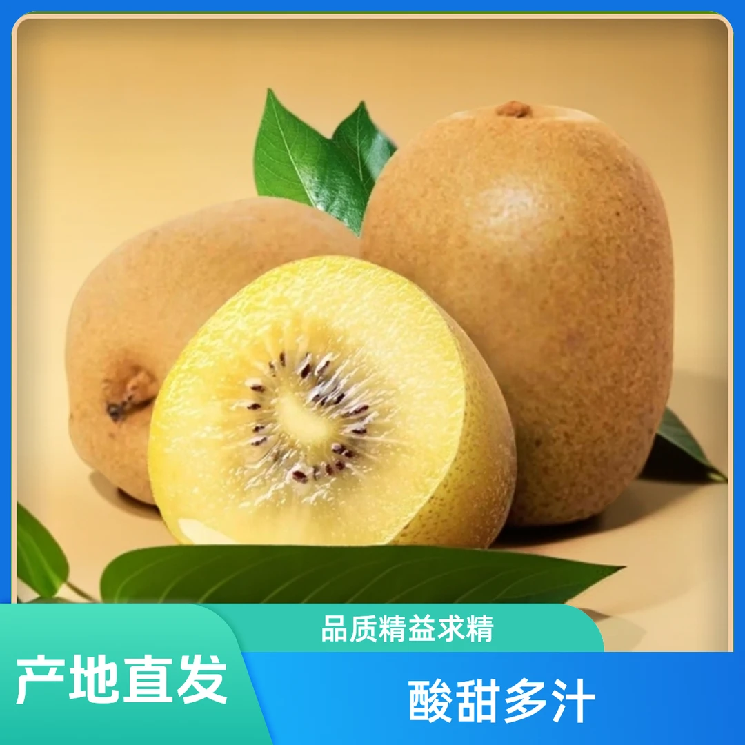 【产地直发】四川黄心猕猴桃果香新鲜采摘香甜软糯产地发货纯甜多汁