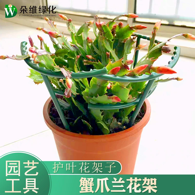 蟹爪兰支撑花托架植物通用防倒伏叶架兰花盆架可拼接接固定支撑杆