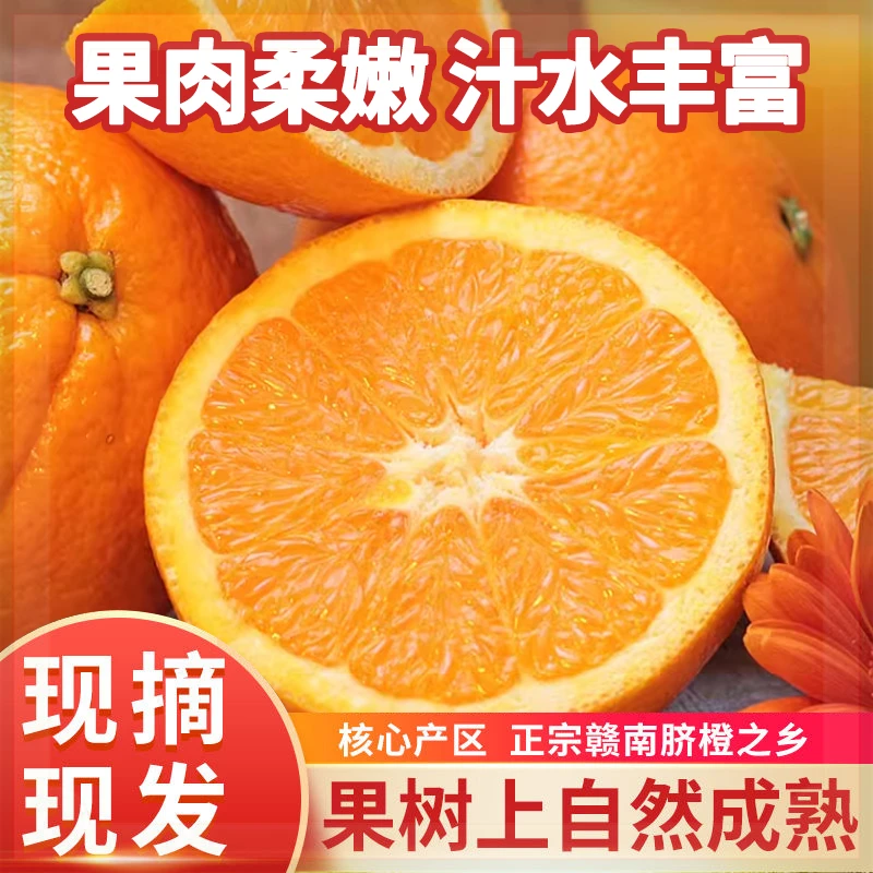 江西正宗赣南脐橙头茬赣南脐橙冰糖脐橙味鲜甜农香甜细腻爆汁酸甜