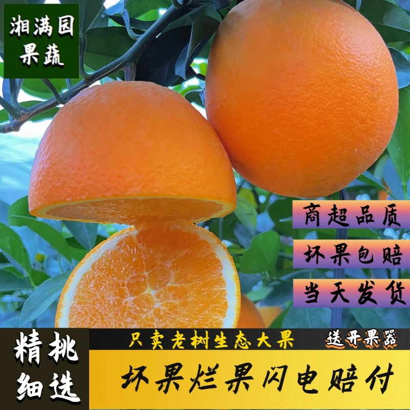 正宗江西赣南脐橙新鲜果冻脐橙麻阳冰糖橙冰糖橙江西赣南冰糖橙子