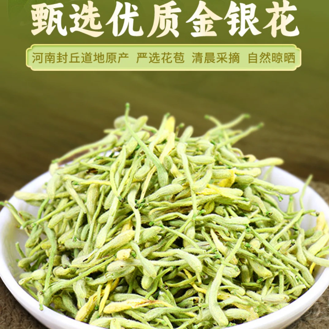 精选河南封丘金银花