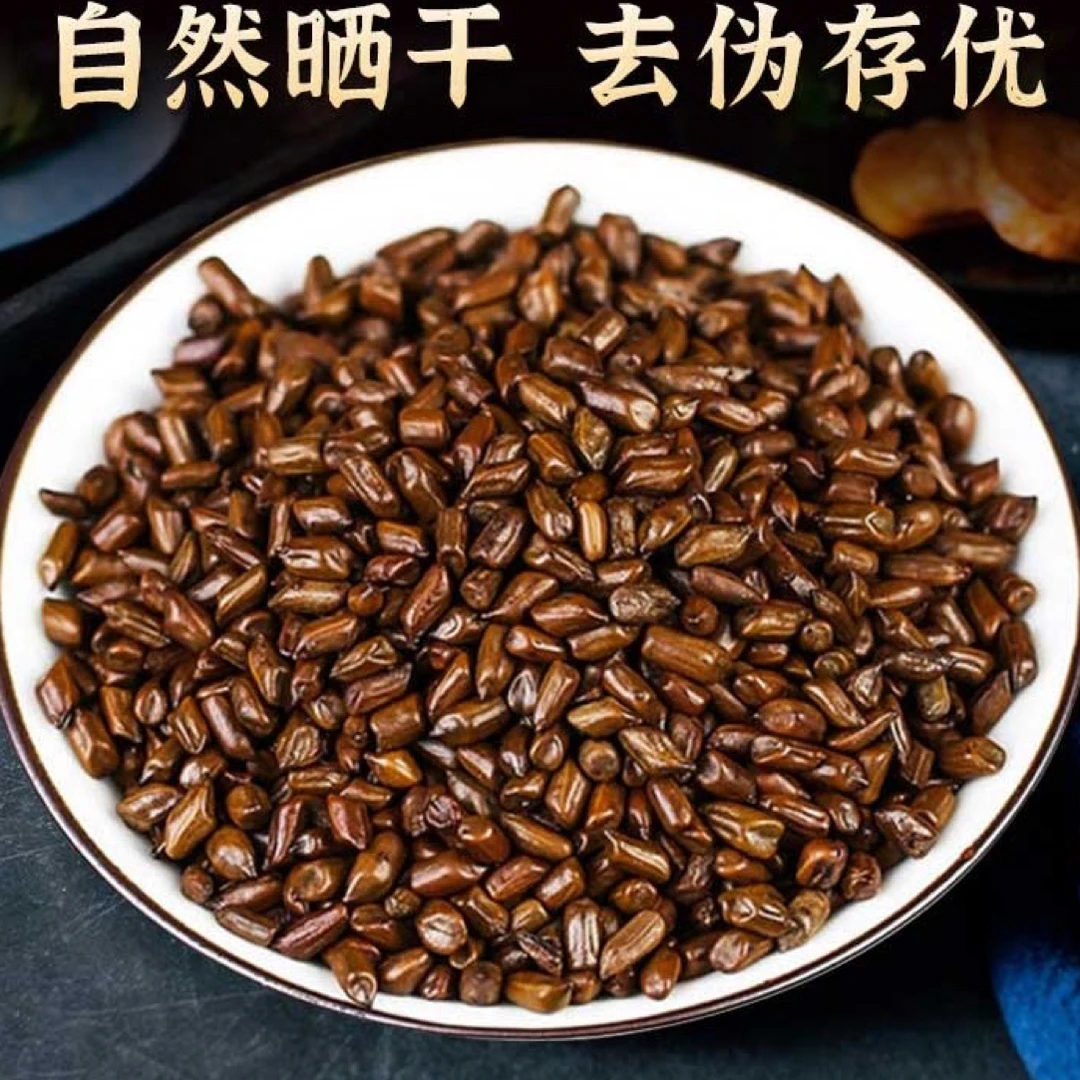 精选决明子 净重250克饱满优质