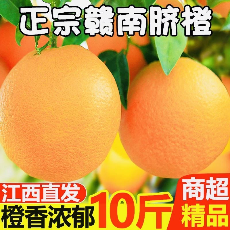 赣南脐橙信丰基地直发现摘现发新鲜带叶顺丰快递