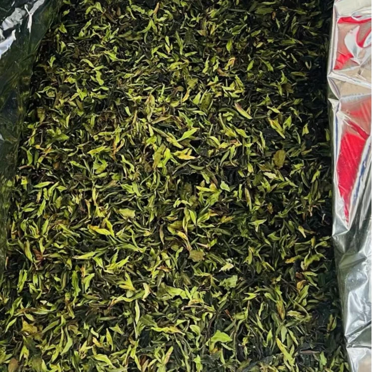 2024明前早春大雪山野放白茶半苞乔木白茶头春花香清香高位甜