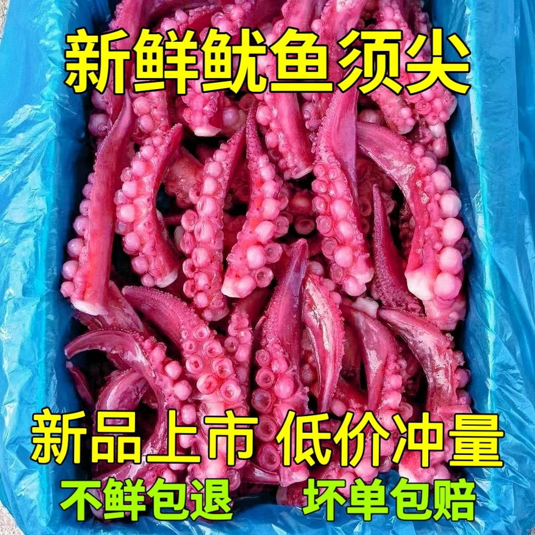 鱿鱼须批发商用精品鱿鱼须尖章鱼须中号八爪须铁板穿串烧烤炒菜等