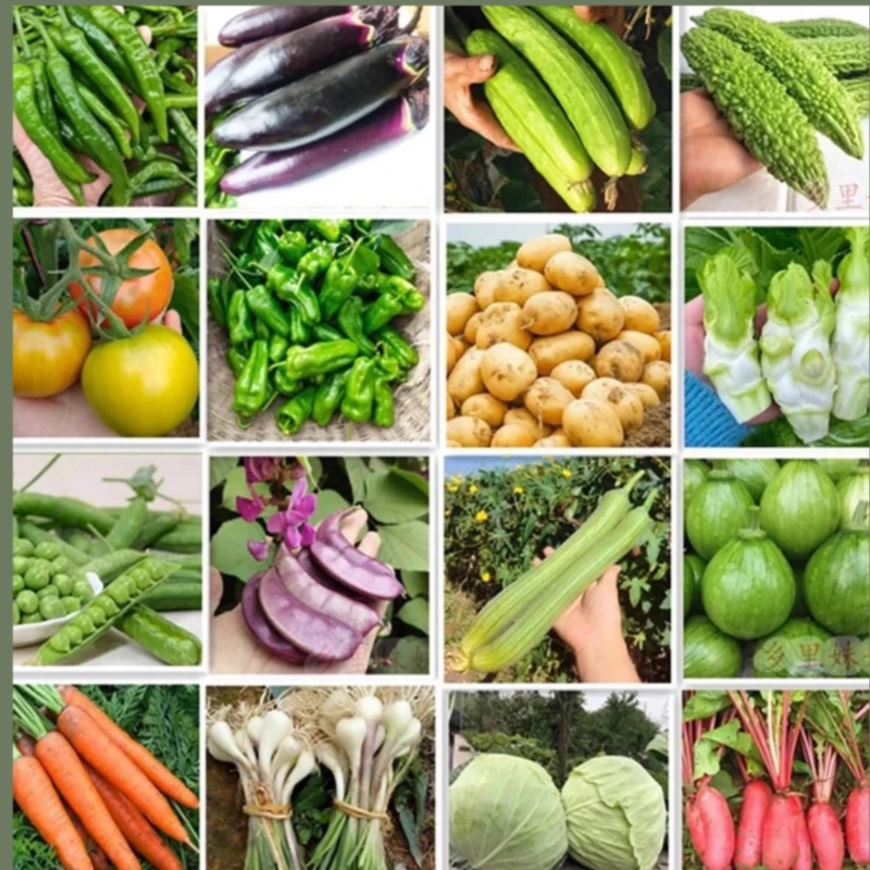 赶集农产品干货新鲜统一链鹅米豆