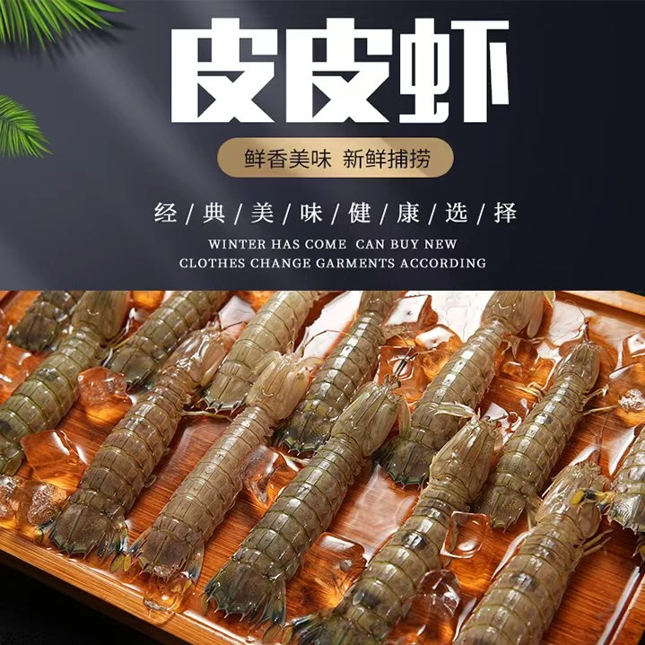 汕尾本港野生虾姑肉虾  皮皮虾