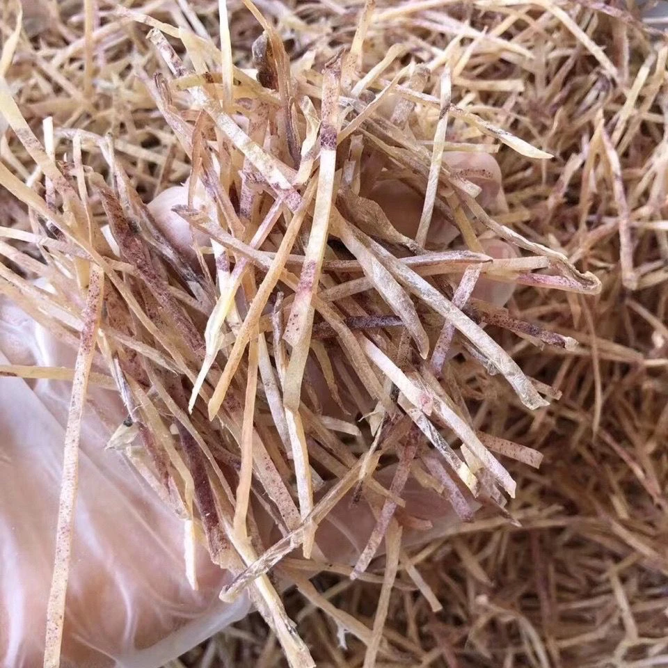 免切鱿鱼丝海产品干货 新鲜散装家用炒菜饭店鱿鱼干淡干