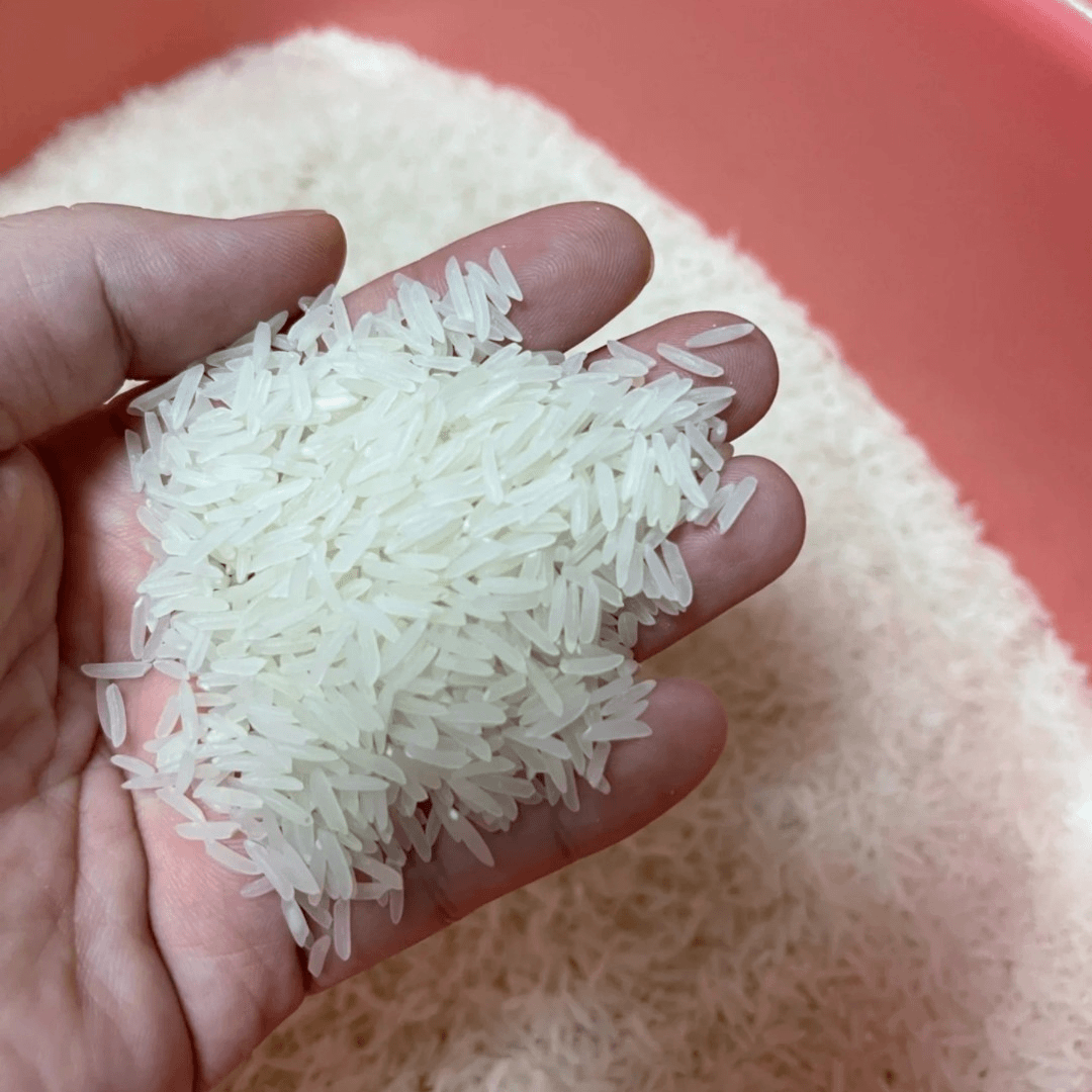 罗定雨意牌丝苗米900克试食装广东稻米绿色食品认证/营养香甜长粒