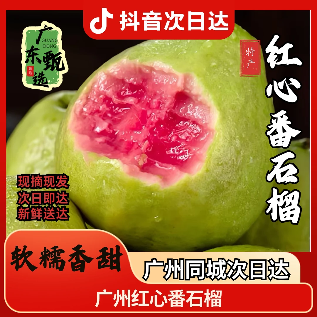 【西瓜红番石榴】脆爽芭乐 三斤/五斤 广州南沙万顷沙果园现摘次日达