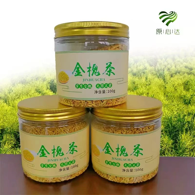 全州金槐茶100g*1罐简单透明罐装金槐金槐茶
