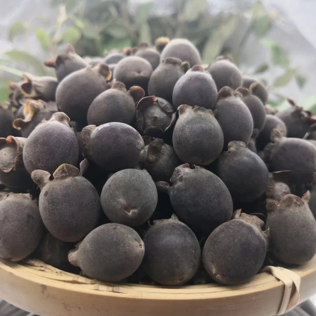 【山捻子】新干货山捻子100g-500g泡酒料山稔子桃金娘果多尼岗棯子