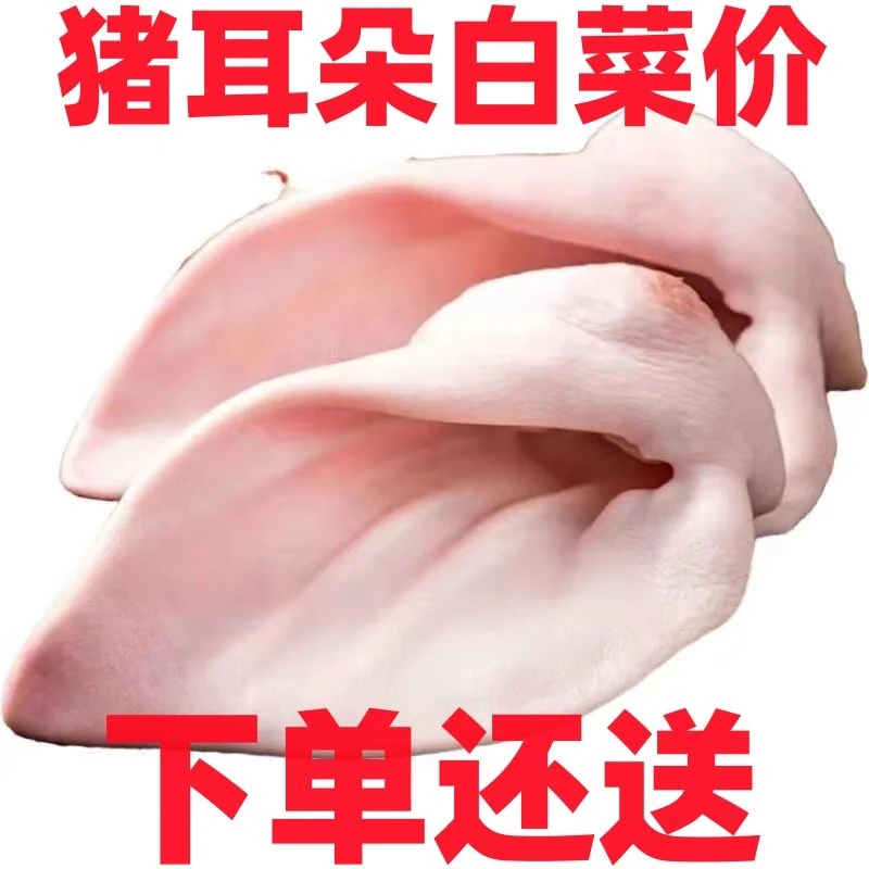 新鲜猪耳朵片猪耳尖冻新鲜猪耳朵商用肉带根猪耳猪肉冷冻批发卤菜
