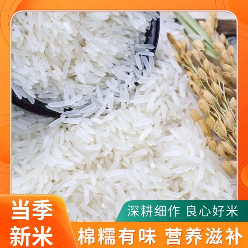 【中裕华农】甄选10斤2024年新米长粒香米猫牙米高原农家香米包邮