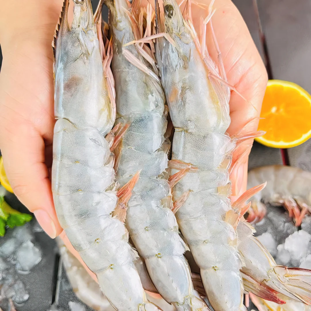 【足斤足两】20-30规格海洋海水大虾净重3斤厄瓜多尔南美白虾1010