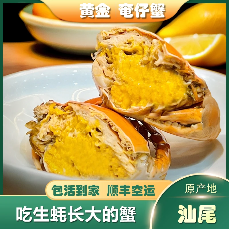 【黄金奄仔蟹4-5两/只】 精选鲜活大青蟹 原产地黄油蟹海鲜礼盒装