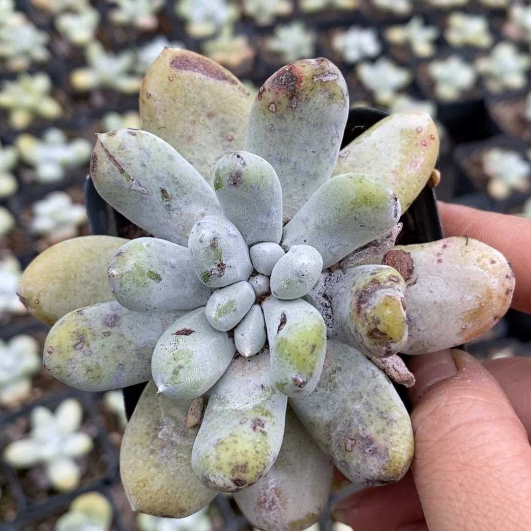 1292哈哈哈哈哈哈哈哈哈哈哈哈哈哈