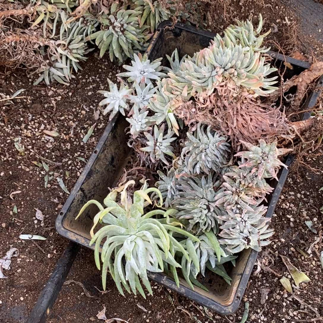 2167哈哈哈哈哈哈哈哈哈